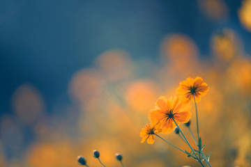 帝豪EC8的测试体验