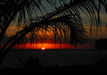 中国最贵的古钱币是什么钱币