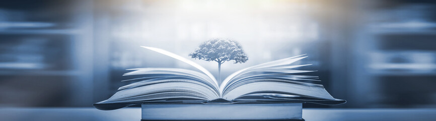 宝骏310哪一款最好