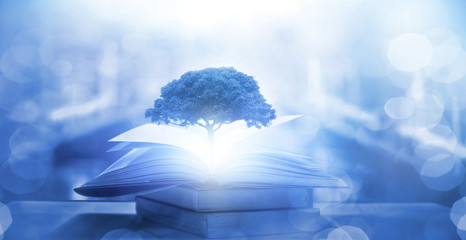 十种不适合学吉他的人