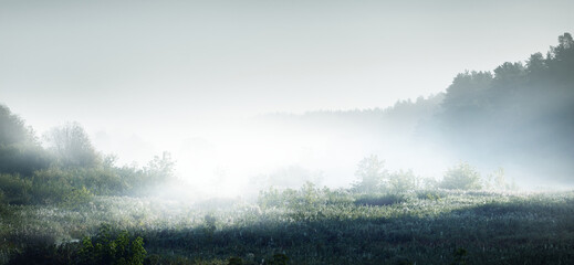 有谁知道2205双相不锈钢的化学成分