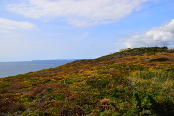 现在赤峰封城了吗