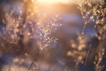 上海大众八万左右的车