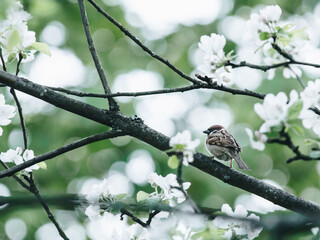 海南对气候灾害有哪些抵御措施求大神帮助