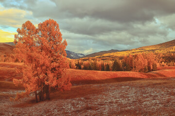 400电话是否是免费电话？