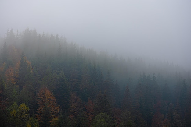 一般做屋顶防水用什么材料？