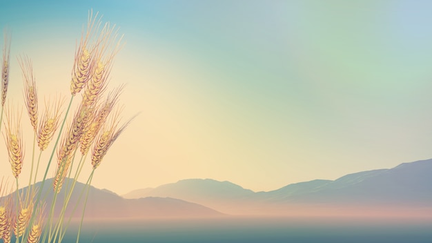 一般做屋顶防水用什么材料？