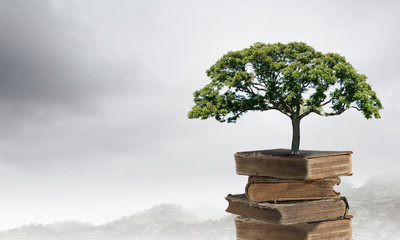 有谁知道2205双相不锈钢的化学成分