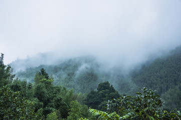 电力央企改革概念股有哪些股票？